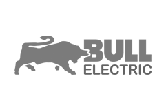 bull electric icon